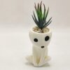 Kodama planter